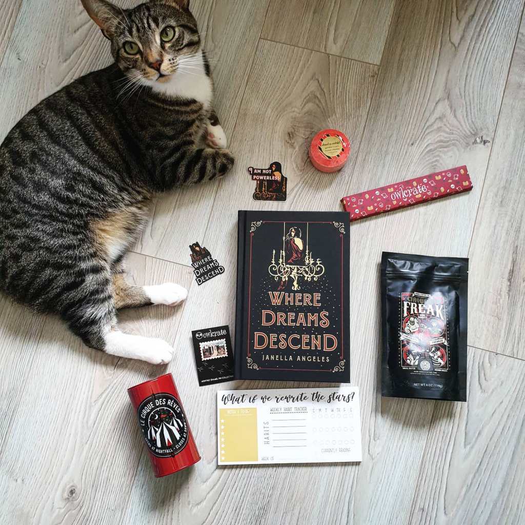 June’ 20 OwlCrate&nbsp;Unboxing