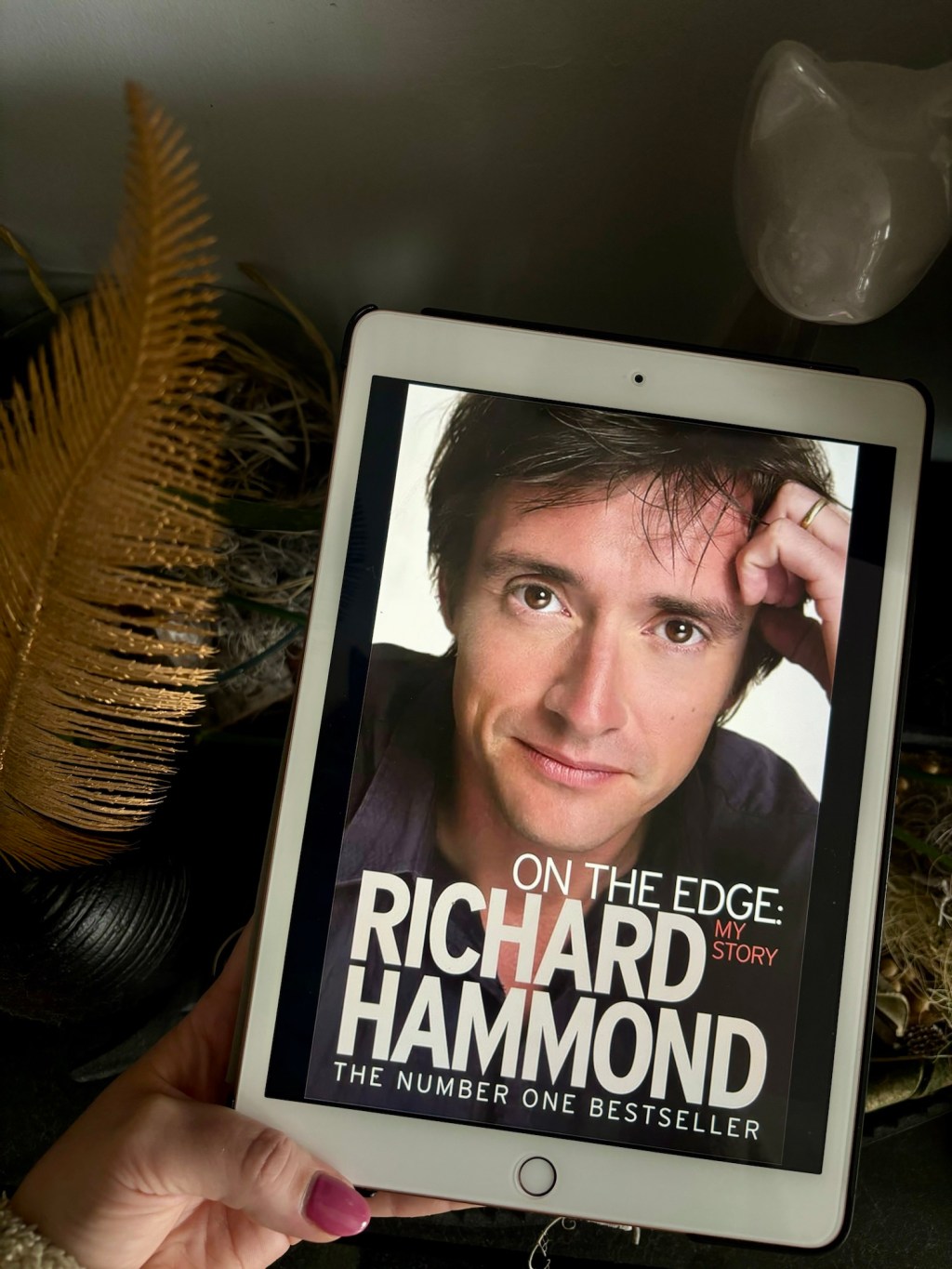 On the edge by richard hammond