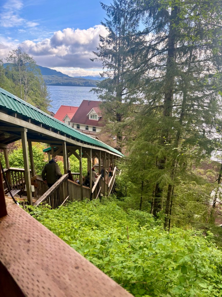 Pathway to George Inlet Lodge