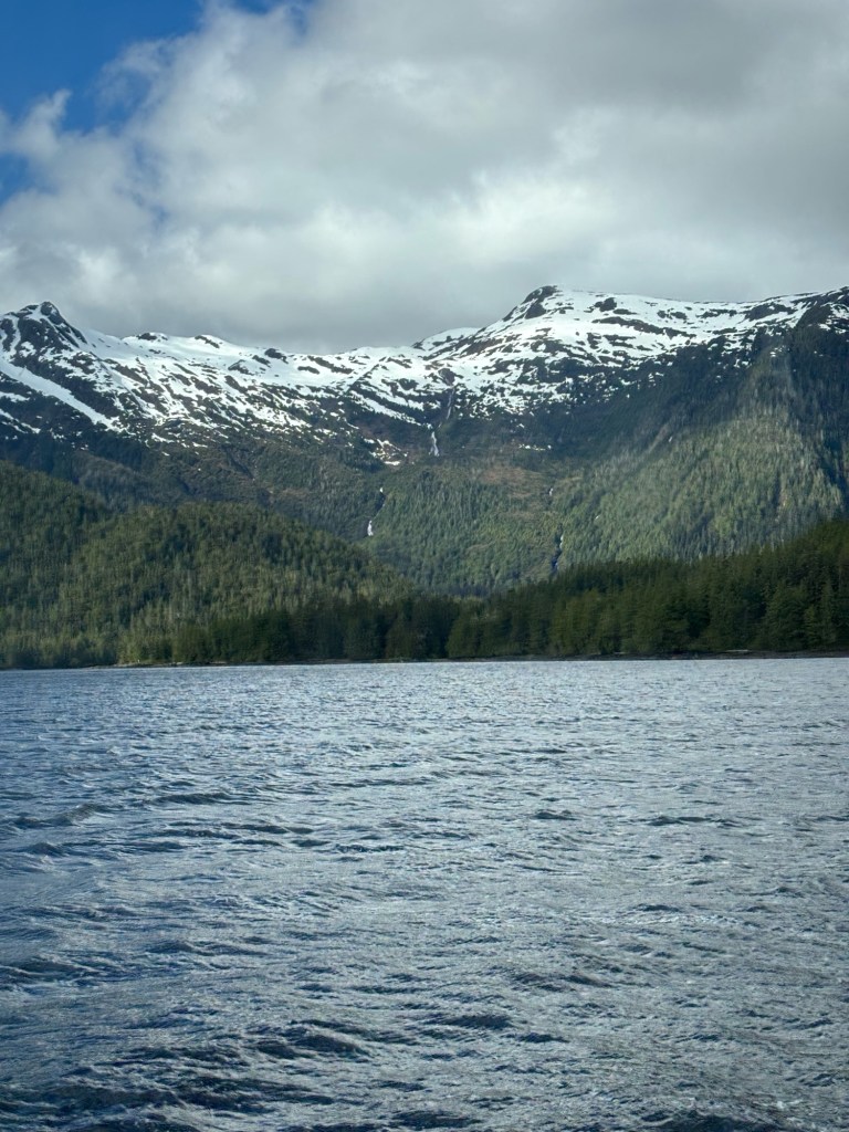 Alaska nature on a cruise