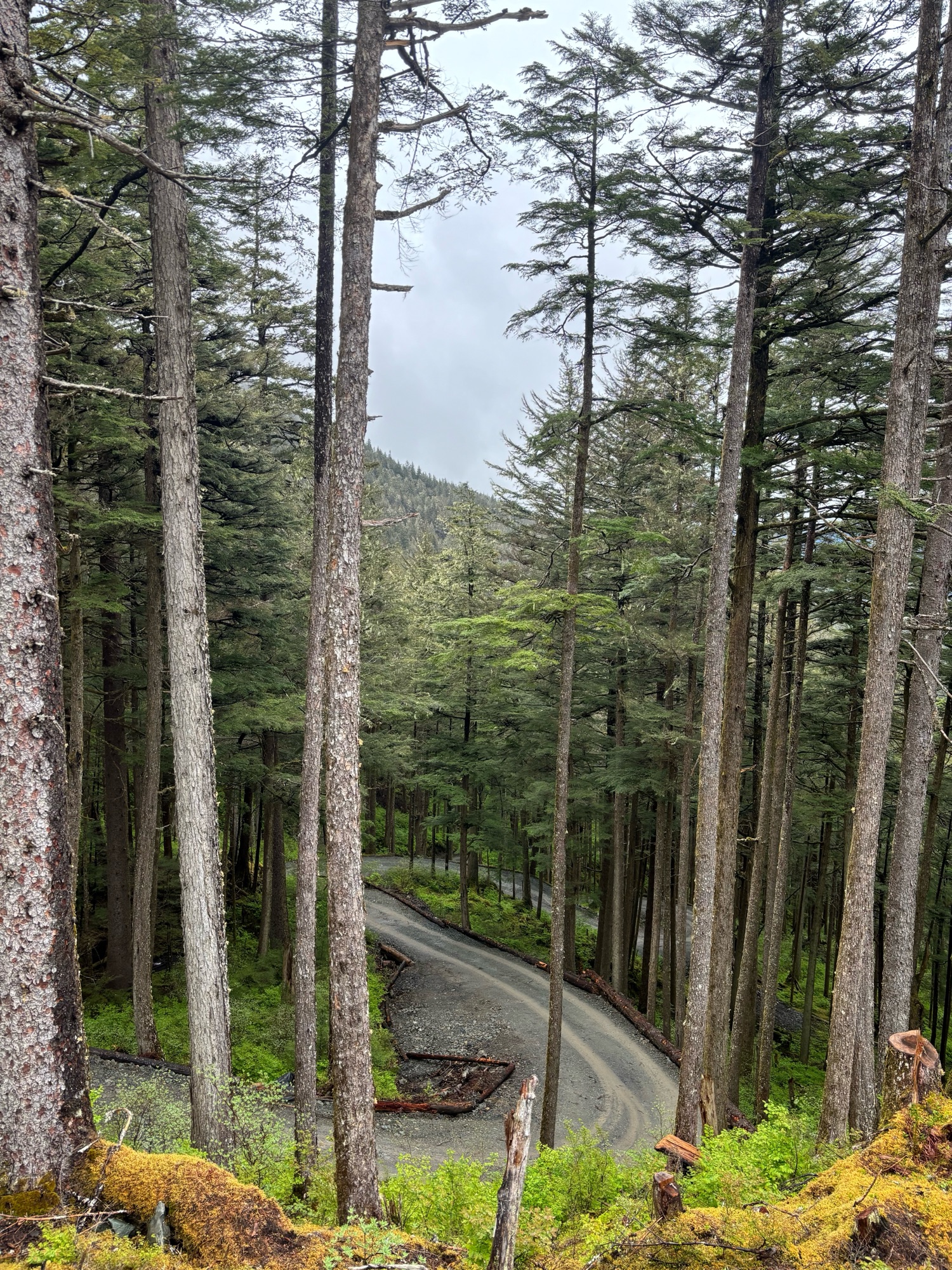 Road up the Thunder Mountain in Juneau Glacier Gardens