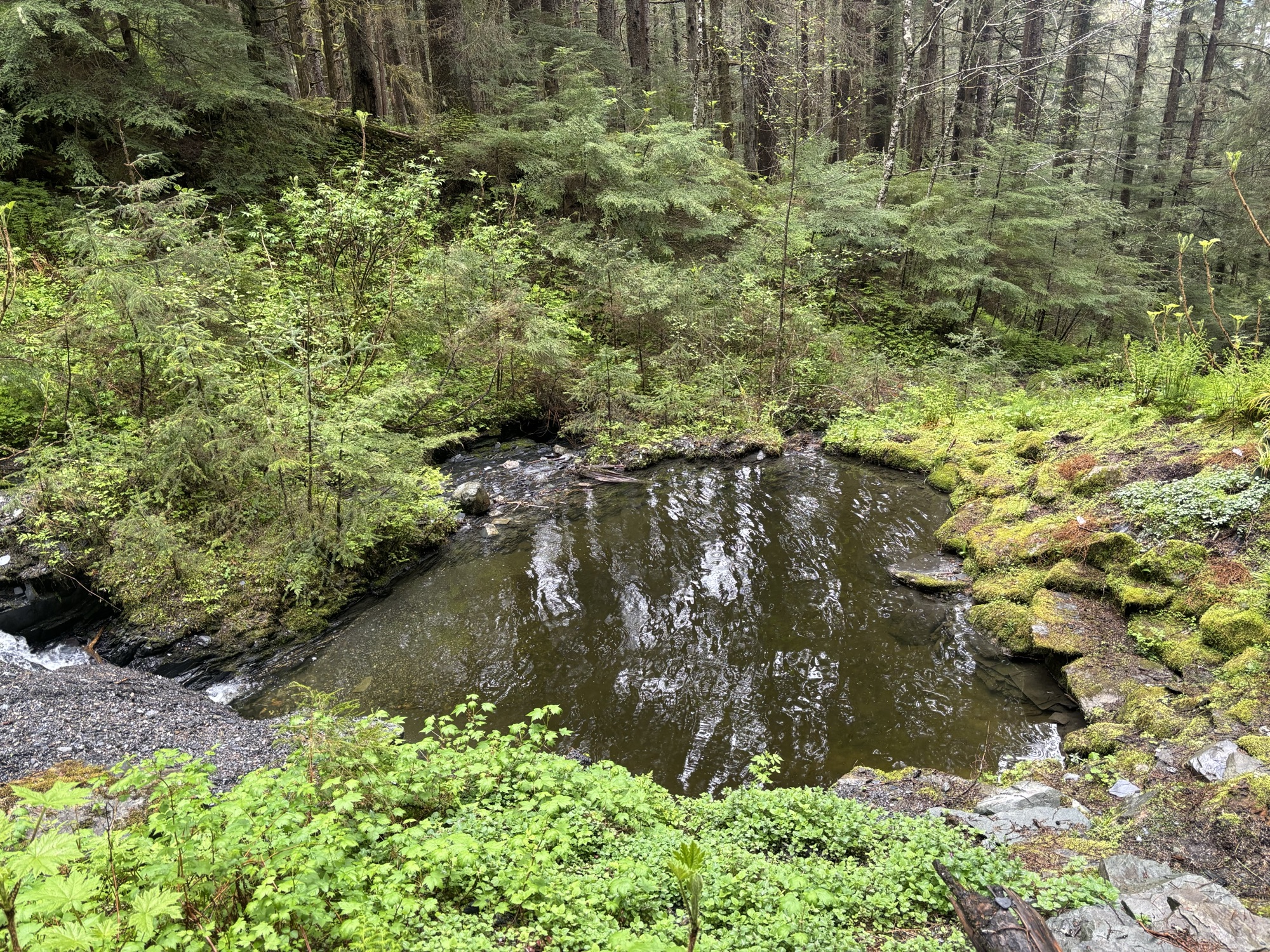 Heart-shaped pond in Juneau Glacier Gardens
