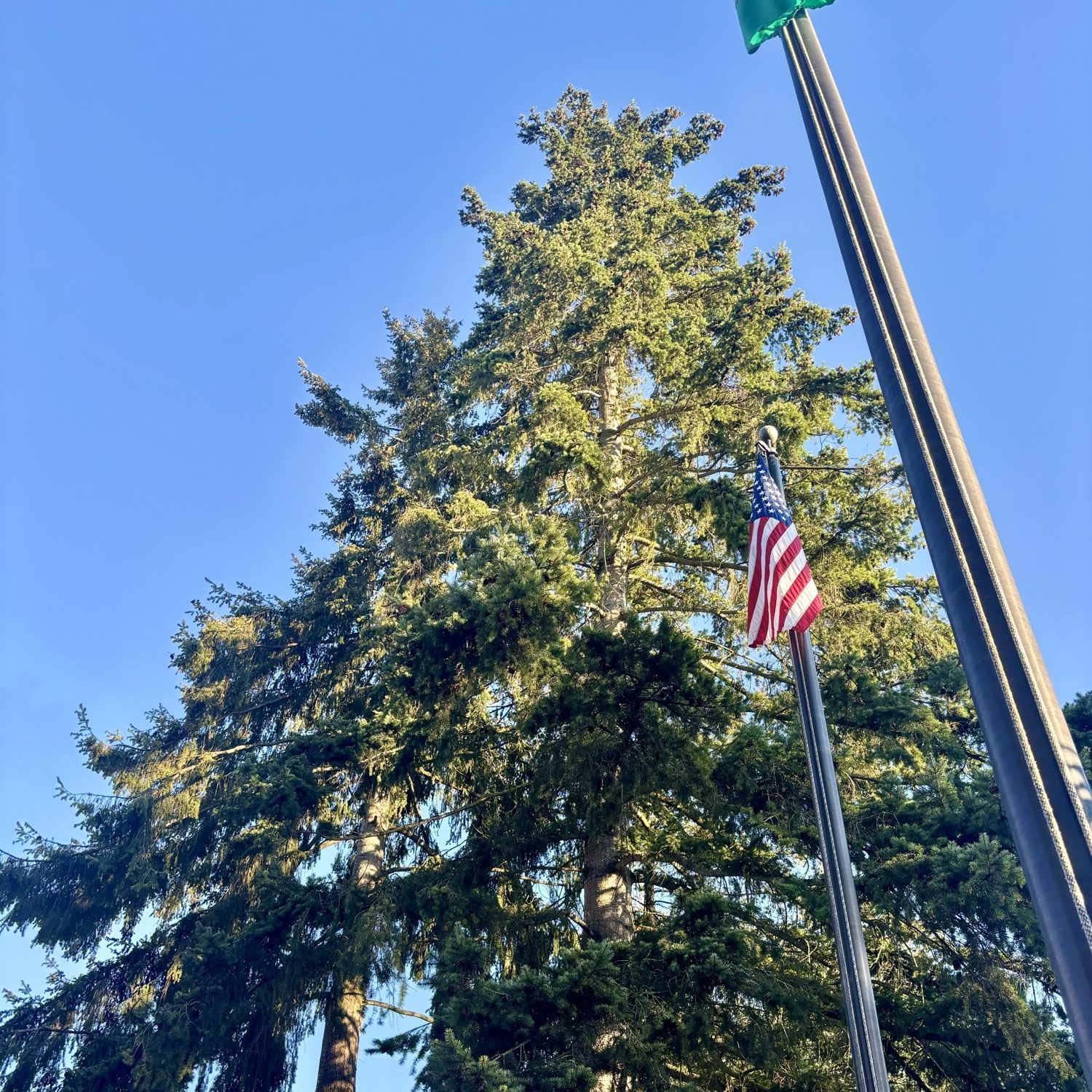 American flag in the wind