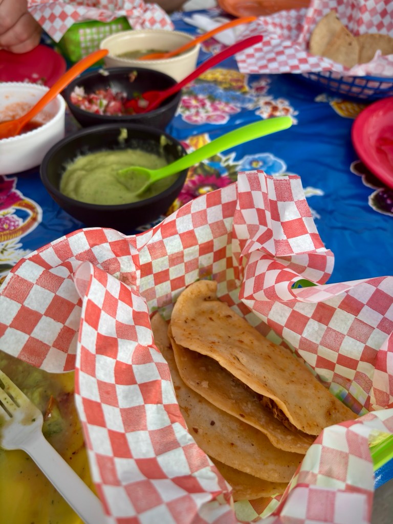 meal at Lucha Libre tour Mezatlán cruise ecxursion