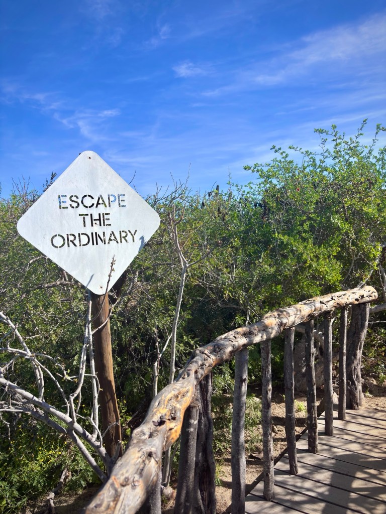 Escape the Ordinary sign in Tierra Sagrada by Cabo Adventures in Cabo San Lucas, Mexico